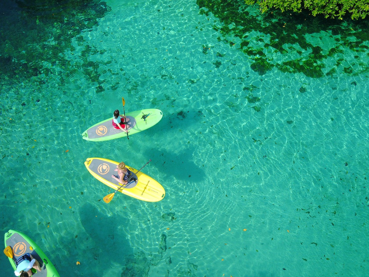Discover Cenote Manati and snorkel in the cristal water of this incredible cenote full of life and plants. Let us show you some incredible spots    
Tulum paddleboarding snorkeling cenotes tour, paddleboard tours, paddleboard rent.