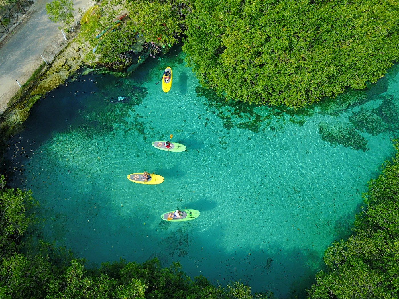   Tulum paddleboarding snorkeling cenotes tour is the best activity you can do once you are in the Riviera Maya. Join our tour you will love it 