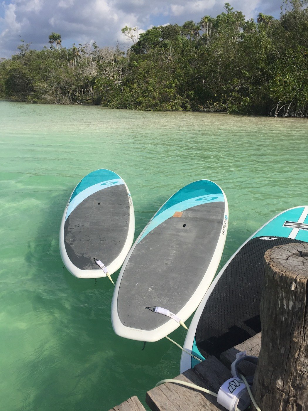 Kaan Luum Lagoon, if you are looking for to paddle around end experience an incredible place.   Tulum paddleboarding snorkeling lagoons tour, paddleboard do not miss it ! 