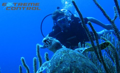 Extreme Control Adventures, offers in Scuba Diving in some of the best cenotes in Tulum. Extreme Control Adventures offers PADI lessons such as Discover Scuba Diving and PADI Scuba Diver.