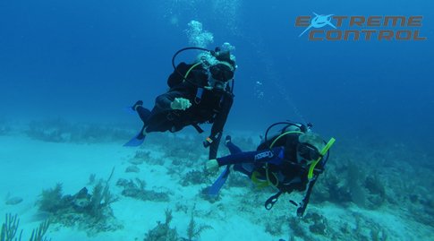 Extreme Control Adventures, offers in Scuba Diving in some of the best cenotes in Tulum. Extreme Control Adventures offers PADI lessons such as Discover Scuba Diving and PADI Scuba Diver. As well Ocean Dive to discover the beauty on of the reef 
