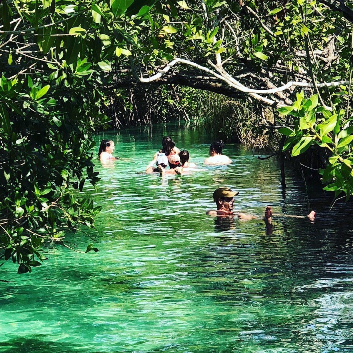  Tulum locals tours, Muyil Ruins, Sian Kaan lagoons, mayan rivers, Tulum Scuba diving lessons, cenotes tour, caver diving, scuba diving, reaf diving  Tulum paddleboarding snorkeling cenotes tour, paddleboard tours, paddleboard rent, Sup tours, Sup rent, Sup adventures, and El Cuyo Yucatan Kiteboarding Lessons, Hydrofoil Lessons, kitesurfing Lessons, Kitesurf, Kiteboard, Tours, Accommodations Extreme Control Adventures